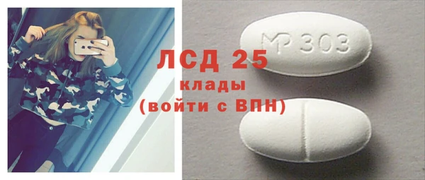 ГАЛЛЮЦИНОГЕННЫЕ ГРИБЫ Абаза