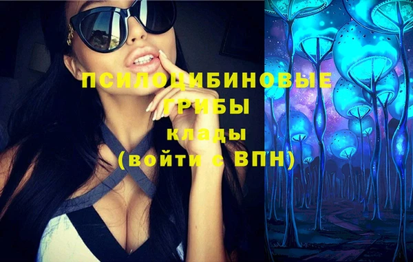 ГАЛЛЮЦИНОГЕННЫЕ ГРИБЫ Абаза