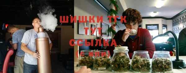 ГАЛЛЮЦИНОГЕННЫЕ ГРИБЫ Абаза
