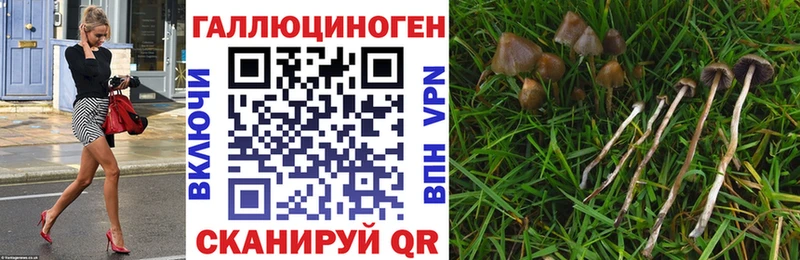 Галлюциногенные грибы Magic Shrooms Абакан
